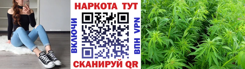 Где купить наркоту Димитровград Cocaine Меф Галлюциногенные грибы Гашиш