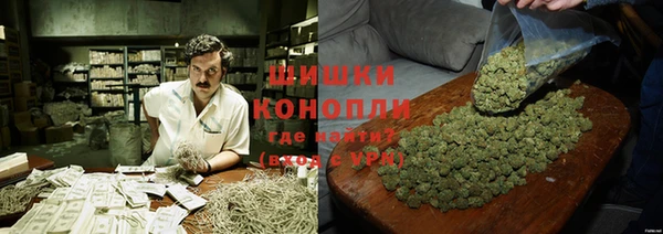 шишки Сосновый Бор
