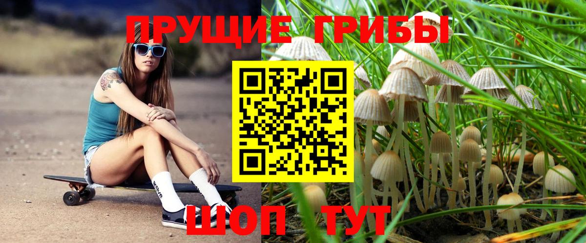 Псилоцибиновые грибы MAGIC MUSHROOMS  Псилоцибиновые грибы MAGIC MUSHROOMS  Димитровград  Вход с VPN 